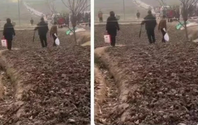 Kiếm gần 1 triệu đô nhờ mổ lợn, cô gái trẻ khiến đất quanh nhà hóa bùa hộ mệnh bán giá đắt hơn vàng - Ảnh 1.