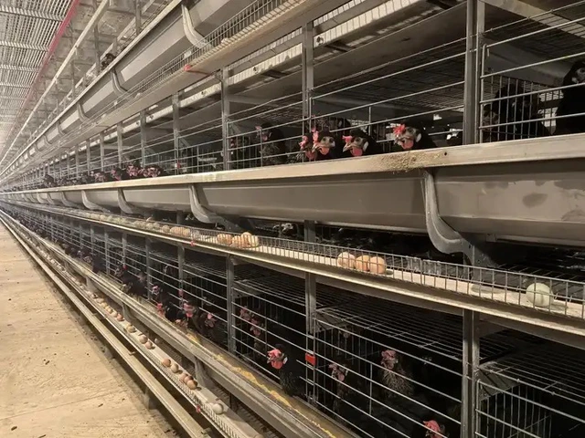 Vì sao công nghệ càng tối tân, con người càng cảm thấy kiệt quệ? - Ảnh 1.