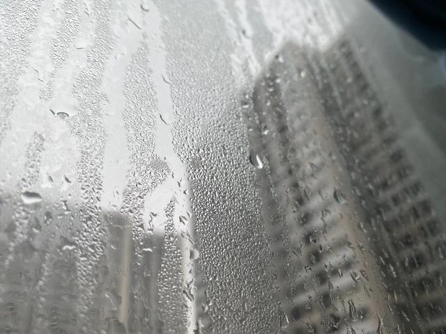 Nồm ẩm, tường sàn nhớp nháp: Máy hút ẩm hay máy lọc không khí tích hợp hút ẩm mới đủ đô? - Ảnh 1.