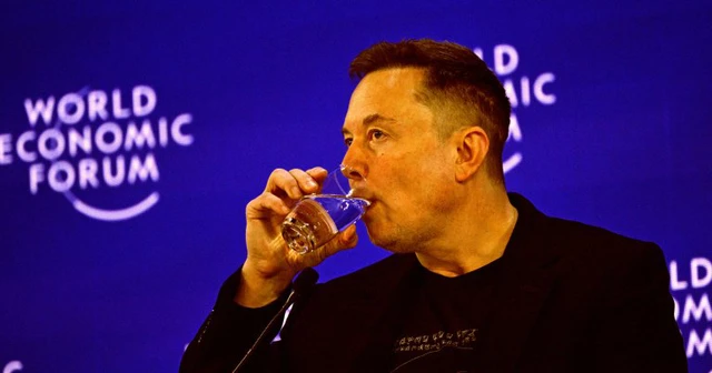 Cổ phiếu Tesla đang lao dốc kể từ khi Musk bị bóc trần trong hồ sơ Epstein - Ảnh 2.