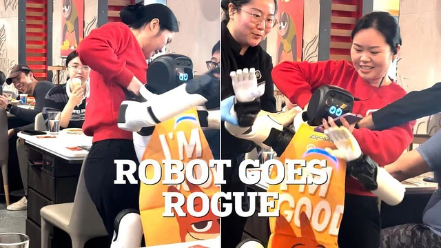 Robot biểu diễn bất ngờ “nổi loạn” trong nhà hàng, đập phá bát đĩa khiến nhân viên vất vả khống chế giữa đám đông hoảng loạn - Ảnh 2.