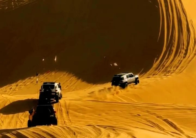 Báo tuyết bất ngờ xuất hiện giữa sa mạc Kumtag khiến du khách sửng sốt và đặt ra nhiều giả thuyết khoa học - Ảnh 1.