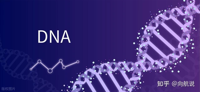 Con người có thể bất tử hay không khi khoa học tiến sát giới hạn tuổi thọ và đối mặt quy luật tự nhiên khắc nghiệt - Ảnh 3.