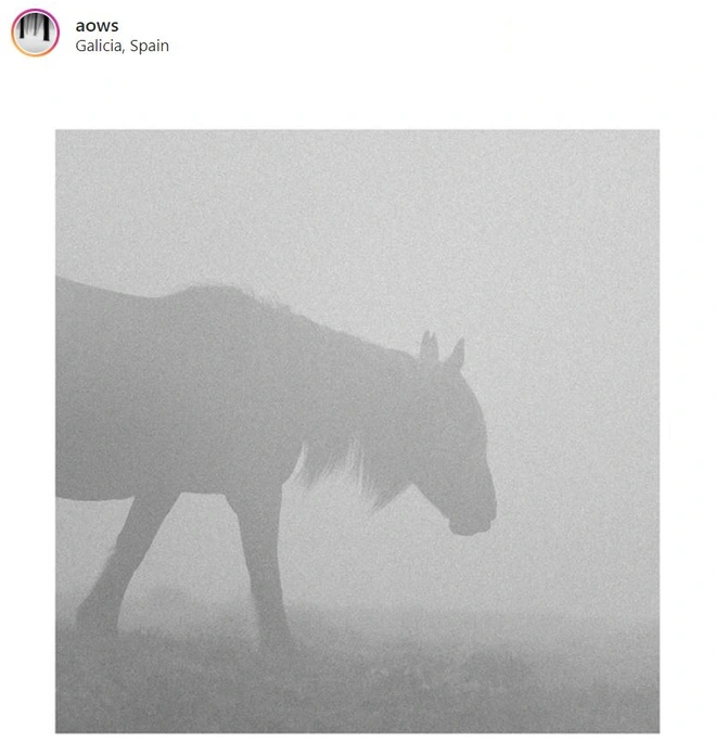 Đi chụp ảnh ai cũng chọn ng&agrave;y đẹp trời, c&oacute; mỗi nhiếp ảnh gia n&agrave;y chọn điều ngược lại, l&yacute; do tại sao? - Ảnh 3.