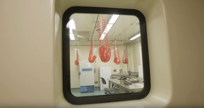 B&ecirc;n trong ph&ograve;ng th&iacute; nghiệm an to&agrave;n sinh học BSL-4: Nơi virus kh&ocirc;ng thể n&agrave;o tho&aacute;t ra ngo&agrave;i - Ảnh 12.