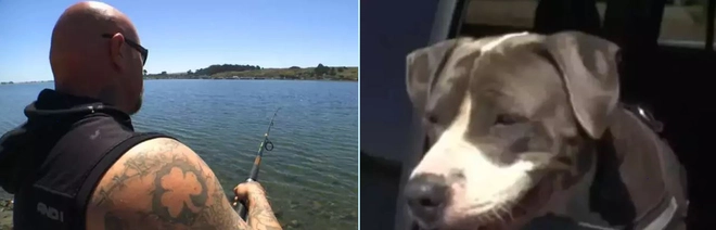 Ch&uacute; ch&oacute; bơi l&ecirc;nh đ&ecirc;nh tr&ecirc;n biển trong suốt 11 giờ để t&igrave;m người cứu gi&uacute;p chủ nh&acirc;n sắp bị đuối nước - Ảnh 5.