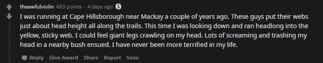 Lại l&agrave; nước &Uacute;c k&igrave; diệu: Lo&agrave;i nhện si&ecirc;u to khổng lồ với k&iacute;ch thước lớn hơn b&agrave;n tay người trưởng th&agrave;nh, c&oacute; thể ăn cả dơi v&agrave; chim - Ảnh 2.