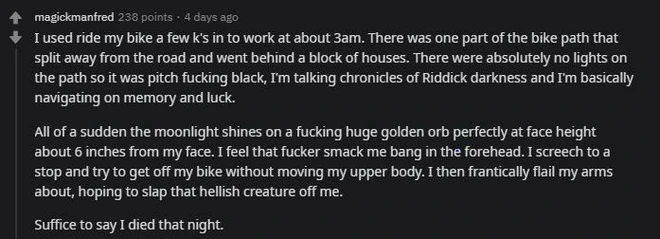 Lại l&agrave; nước &Uacute;c k&igrave; diệu: Lo&agrave;i nhện si&ecirc;u to khổng lồ với k&iacute;ch thước lớn hơn b&agrave;n tay người trưởng th&agrave;nh, c&oacute; thể ăn cả dơi v&agrave; chim - Ảnh 3.