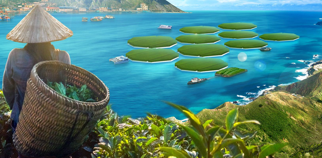 Dự kiến tới năm 2021, nh&acirc;n loại sẽ c&oacute; vựa l&uacute;a chịu mặn nổi tr&ecirc;n mặt biển đầu ti&ecirc;n - Ảnh 1.