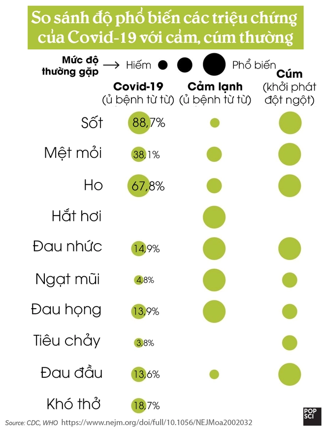 [Infographic] Tỷ lệ xuất hiện c&aacute;c triệu chứng của Covid-19 so với cảm c&uacute;m th&ocirc;ng thường - Ảnh 2.