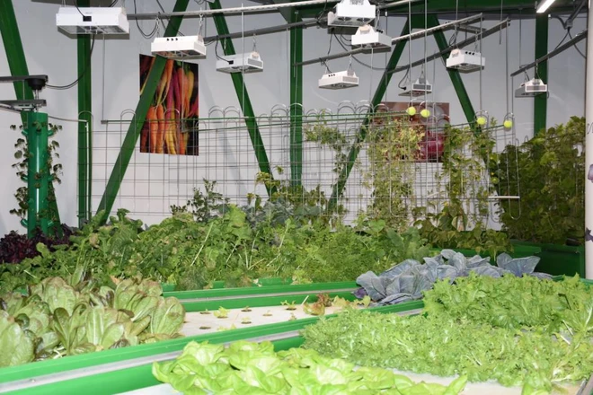 Tr&aacute;nh Covid-19, giới tỉ ph&uacute; đổ x&ocirc; đi mua căn hộ tr&uacute; ẩn triệu đ&ocirc; trong l&ograve;ng đất, được cải tạo từ hầm t&ecirc;n lửa hạt nh&acirc;n - Ảnh 4.