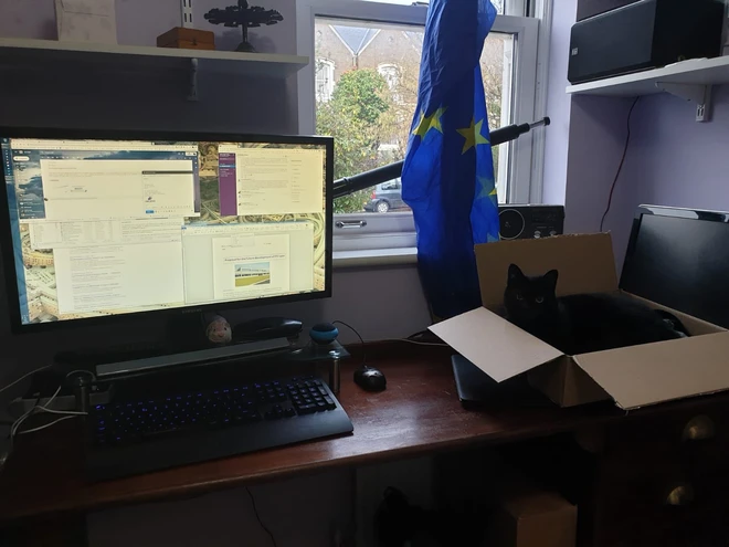 [Ch&ugrave;m ảnh vui] 7749 c&aacute;ch th&uacute; cưng ph&aacute; đ&aacute;m c&aacute;c sen phải l&agrave;m việc ở nh&agrave; để tr&aacute;nh Covid-19 - Ảnh 15.