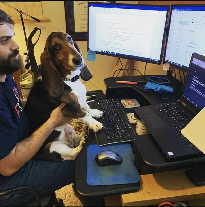 [Ch&ugrave;m ảnh vui] 7749 c&aacute;ch th&uacute; cưng ph&aacute; đ&aacute;m c&aacute;c sen phải l&agrave;m việc ở nh&agrave; để tr&aacute;nh Covid-19 - Ảnh 14.