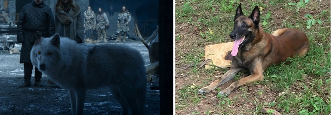 Nổi da g&agrave; với trailer mới của The Walking Dead: Sao lại giống trận đ&aacute;nh Night King trong Game of Thrones đến thế! - Ảnh 8.