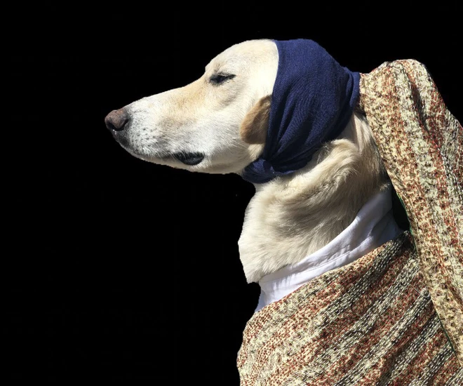 Ở nh&agrave; tr&aacute;nh Covid-19, d&acirc;n mạng thi nhau sử dụng đồ d&ugrave;ng gia đ&igrave;nh để bắt chước theo những t&aacute;c phẩm nghệ thuật nổi tiếng thế giới - Ảnh 11.