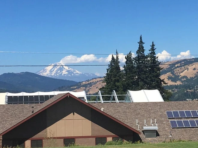 [Ch&ugrave;m ảnh vui] Những khoảnh khắc tr&ugrave;ng hợp đến kh&oacute; tin, kh&ocirc;ng xem kĩ m&agrave; chỉ lướt qua sương sương l&agrave; nh&igrave;n nhầm ngay - Ảnh 2.