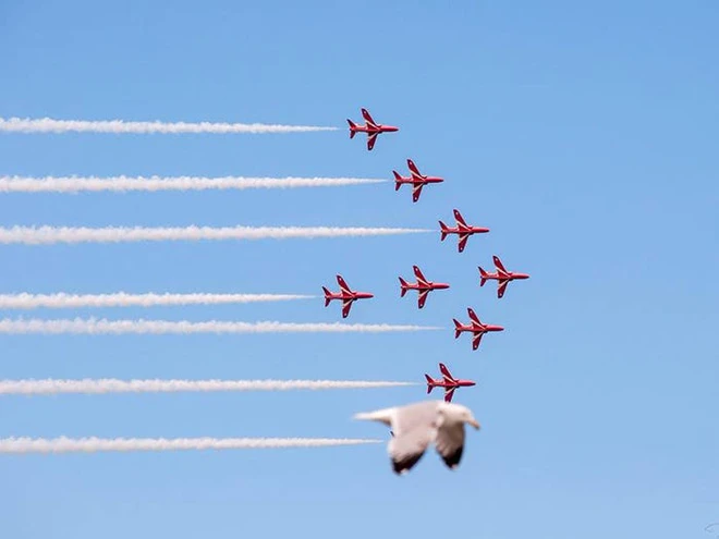 [Ch&ugrave;m ảnh vui] Những khoảnh khắc tr&ugrave;ng hợp đến kh&oacute; tin, kh&ocirc;ng xem kĩ m&agrave; chỉ lướt qua sương sương l&agrave; nh&igrave;n nhầm ngay - Ảnh 8.