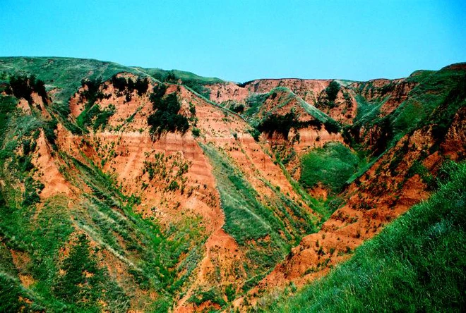 Ph&aacute;t hiện về sự tồn tại của người cổ đại b&ecirc;n ngo&agrave;i Ch&acirc;u Phi đ&atilde; đến Trung Quốc 2.1 triệu năm trước - Ảnh 2.