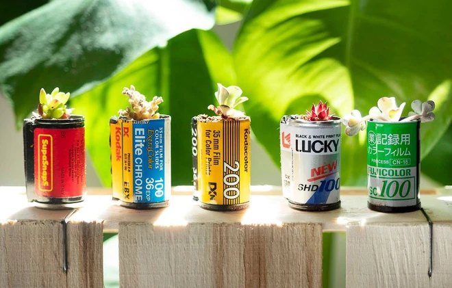 Sau l&agrave;m m&oacute;c kh&oacute;a, vỏ phim cũ giờ đ&acirc;y c&ograve;n được biến h&oacute;a th&agrave;nh chậu c&acirc;y trồng mini cực dễ thương - Ảnh 1.