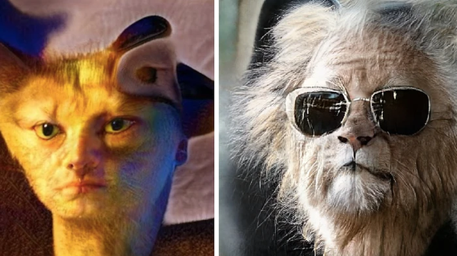 Đ&acirc;y l&agrave; hệ thống AI c&oacute; thể biến người th&agrave;nh động vật v&agrave; ngược lại - Ảnh 1.