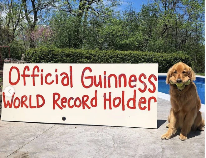 Những kỷ lục kỳ lạ v&agrave; độc đ&aacute;o nhất thế giới từng được x&aacute;c lập bởi c&aacute;c lo&agrave;i động vật - Ảnh 1.