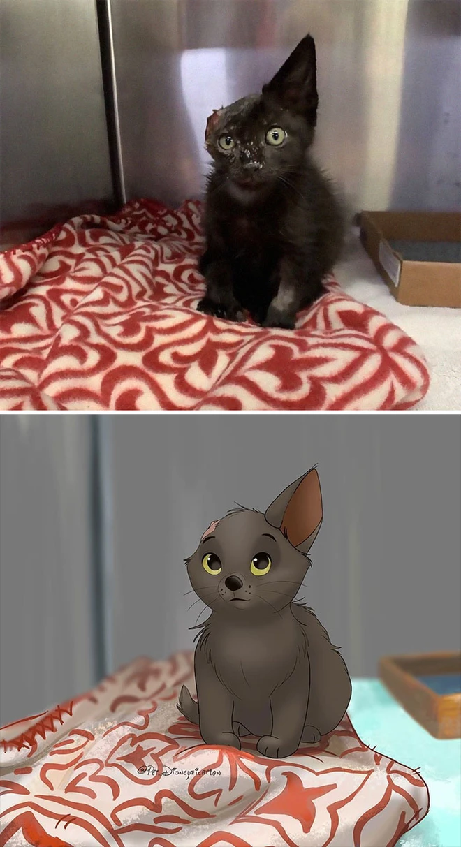 C&ocirc; họa sĩ t&agrave;i năng h&ocirc; biến m&egrave;o cưng th&agrave;nh những bức tranh minh họa tuyệt đẹp đậm chất Disney - Ảnh 3.