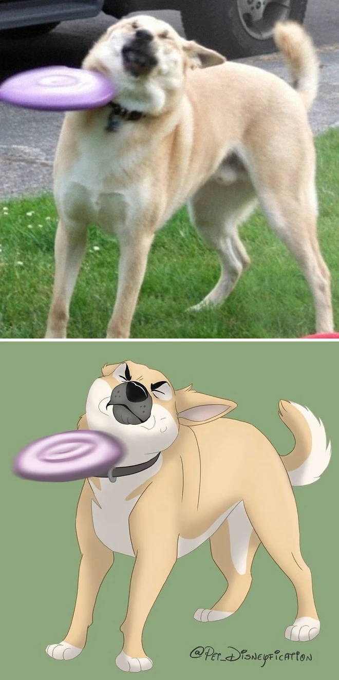 C&ocirc; họa sĩ t&agrave;i năng h&ocirc; biến m&egrave;o cưng th&agrave;nh những bức tranh minh họa tuyệt đẹp đậm chất Disney - Ảnh 2.