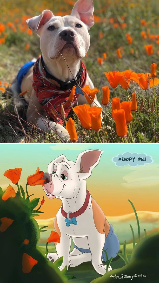 C&ocirc; họa sĩ t&agrave;i năng h&ocirc; biến m&egrave;o cưng th&agrave;nh những bức tranh minh họa tuyệt đẹp đậm chất Disney - Ảnh 7.