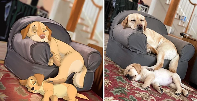 C&ocirc; họa sĩ t&agrave;i năng h&ocirc; biến m&egrave;o cưng th&agrave;nh những bức tranh minh họa tuyệt đẹp đậm chất Disney - Ảnh 6.