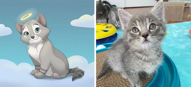 C&ocirc; họa sĩ t&agrave;i năng h&ocirc; biến m&egrave;o cưng th&agrave;nh những bức tranh minh họa tuyệt đẹp đậm chất Disney - Ảnh 5.