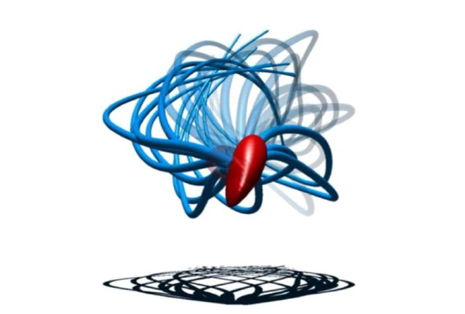 Ph&aacute;t hiện mới về c&aacute;ch hoạt động của tinh tr&ugrave;ng, đ&aacute;nh đổ quan niệm sai lầm suốt 300 năm nay - Ảnh 4.