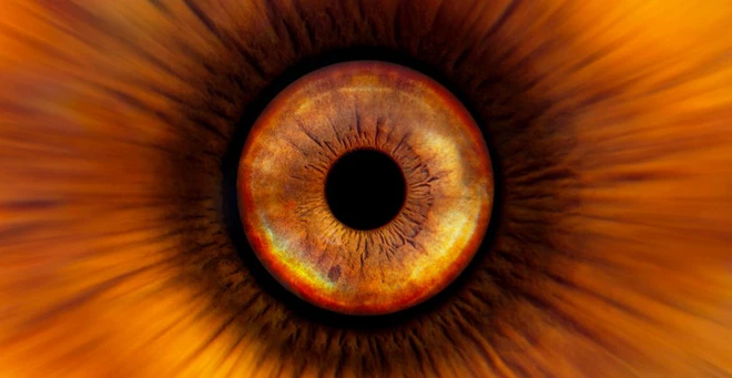 Qu&ecirc;n ảnh selfie chụp mặt th&ocirc;ng thường đi, đ&acirc;y l&agrave; c&aacute;ch bạn tự chụp con mắt của m&igrave;nh - Ảnh 1.