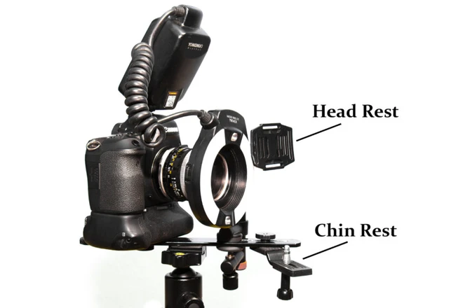 Qu&ecirc;n ảnh selfie chụp mặt th&ocirc;ng thường đi, đ&acirc;y l&agrave; c&aacute;ch bạn tự chụp con mắt của m&igrave;nh - Ảnh 4.