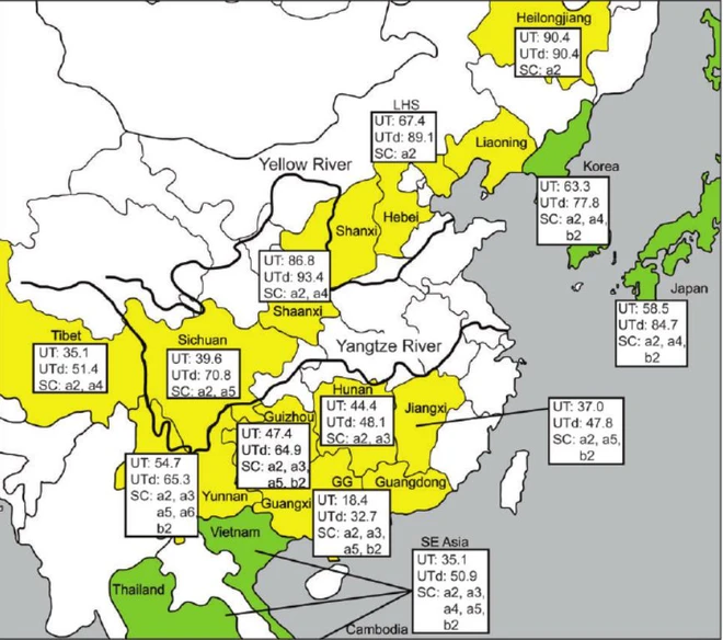 Đi t&igrave;m nguồn gốc của ch&oacute; nh&agrave; - Ảnh 6.