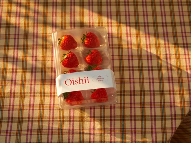 C&aacute;ch tạo ra những quả d&acirc;u t&acirc;y xa xỉ trong c&aacute;c trang trại thẳng đứng được điều khiển bằng AI ở Mỹ - Ảnh 9.