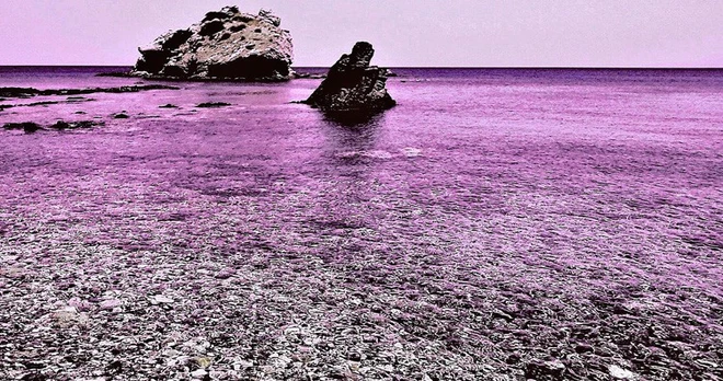 C&oacute; biệt danh l&agrave; đảo m&ugrave; m&agrave;u, đ&acirc;y l&agrave; nơi sinh sống của 250 cư d&acirc;n v&agrave; 10% trong số đ&oacute; ho&agrave;n to&agrave;n bị m&ugrave; m&agrave;u - Ảnh 2.