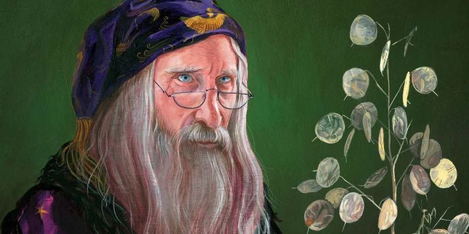 Doctor Strange đấu ph&eacute;p thuật với Dumbledore: Ai sẽ thắng? - Ảnh 2.