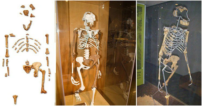 Những điều kỳ lạ về đất nước Ethiopia bạn sẽ kh&oacute; m&agrave; tin nổi - Ảnh 7.