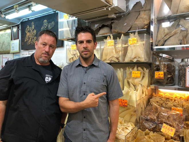 Kẻ săn mồi trở th&agrave;nh con mồi: H&agrave;ng trăm triệu con c&aacute; mập đối mặt với c&aacute;c chuyến đi săn đẫm m&aacute;u của con người mỗi năm - Ảnh 5.