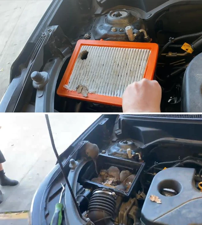 Những vị kh&aacute;ch muốn tởn đến gi&agrave; của thợ sửa &ocirc; t&ocirc; - Ảnh 1.