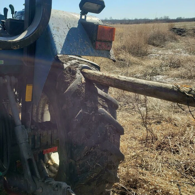 Những vị kh&aacute;ch muốn tởn đến gi&agrave; của thợ sửa &ocirc; t&ocirc; - Ảnh 5.