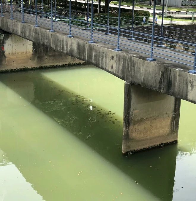 &Aacute;c mộng m&ugrave;a h&egrave; chưa chấm dứt, h&atilde;y xem thế giới đang chống chọi với c&aacute;i n&oacute;ng ra sao - Ảnh 13.