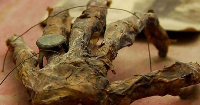 Bạn sẽ kh&ocirc;ng thể tin được rằng những thứ n&agrave;y đều được t&igrave;m thấy tr&ecirc;n tầng &aacute;p m&aacute;i đ&acirc;u! - Ảnh 1.