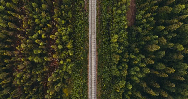 10 sự thật kh&oacute; tin về đất nước Nhật Bản! - Ảnh 2.