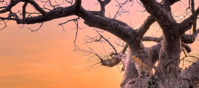 Những h&igrave;nh ảnh đầu ti&ecirc;n chụp bằng iPhone 13 Pro - Ảnh 1.