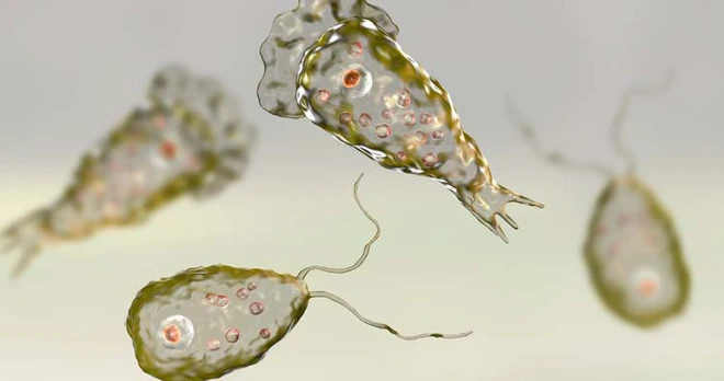 Những điều tưởng chừng như v&ocirc; hại nhưng lại c&oacute; thể khiến bạn bỏ mạng - Ảnh 7.