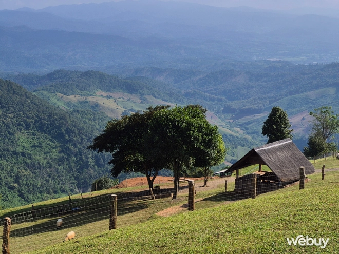 1 tháng dùng Galaxy S24 FE: Chụp đẹp hơn, game “ngon” hơn, thêm AI nhưng còn 1 điểm duy nhất có thể khiến Samfan “lấn cấn”- Ảnh 3. 1 tháng dùng Galaxy S24 FE: Chụp đẹp hơn, game “ngon” hơn, thêm AI nhưng còn 1 điểm duy nhất có thể khiến Samfan “lấn cấn”- Ảnh 3.