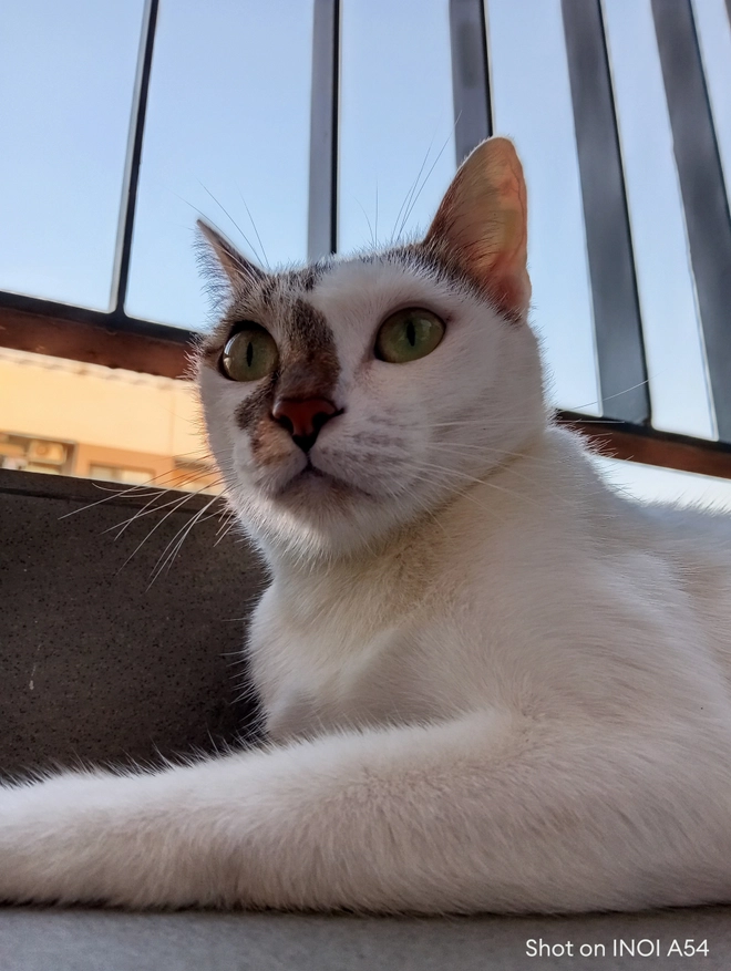 Trên tay INOI A34 và A54: Giá dưới 3 triệu mà màn lớn, RAM nhiều, bộ nhớ to, cấu hình đủ dùng- Ảnh 17. Trên tay INOI A34 và A54: Giá dưới 3 triệu mà màn lớn, RAM nhiều, bộ nhớ to, cấu hình đủ dùng- Ảnh 17.