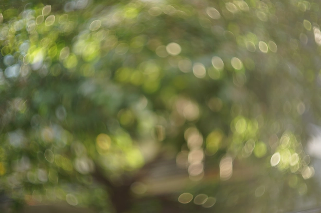 Tôi bỏ gần 7 triệu mua ống kính này để chụp ra hiệu ứng "độc lạ", hóa ra Xiaomi 14T cũng có mà bấy lâu nay không biết- Ảnh 8. Tôi bỏ gần 7 triệu mua ống kính này để chụp ra hiệu ứng "độc lạ", hóa ra Xiaomi 14T cũng có mà bấy lâu nay không biết- Ảnh 8.