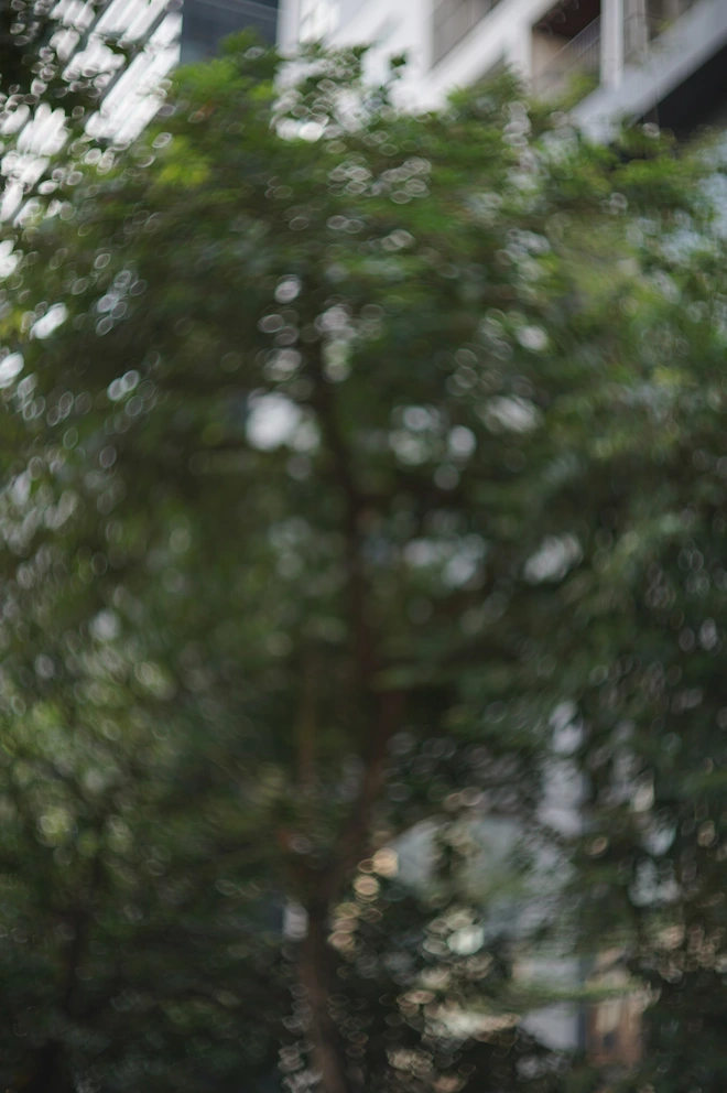 Tôi bỏ gần 7 triệu mua ống kính này để chụp ra hiệu ứng "độc lạ", hóa ra Xiaomi 14T cũng có mà bấy lâu nay không biết- Ảnh 9. Tôi bỏ gần 7 triệu mua ống kính này để chụp ra hiệu ứng "độc lạ", hóa ra Xiaomi 14T cũng có mà bấy lâu nay không biết- Ảnh 9.